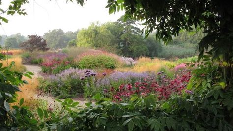 Piet Oudolf, Prairie Garden, Covered Garden, Natural Garden, Plant Pictures, Large Plants, Colorful Garden, Small Trees, Plant Design