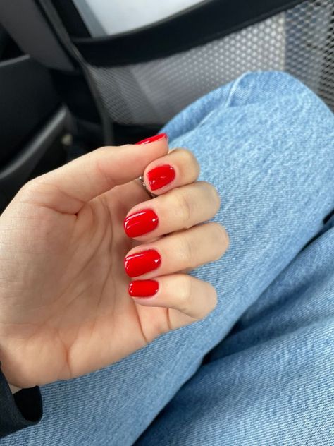 Electric Nail Colors, Red Nails Squoval, Red Nails Gel Short, Red Classic Nails, Classy Christmas Nails Short Red, Squoval Red Nails, Minimalist Red Nails, Red Nails With Accent Nail, Red Squoval Nails