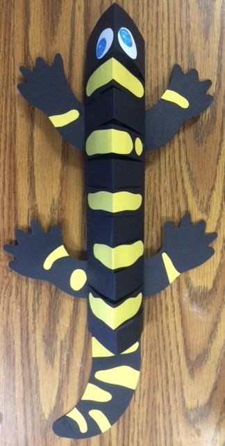 Amphibian Craft, Salamander Craft, Reptiles Arts And Crafts For Kids, Reptiles And Amphibians Preschool, Cubscouts Tiger Activities, Salamander Habitat, Amphibians Activities, Zoo Activities Preschool, Tiger Salamander