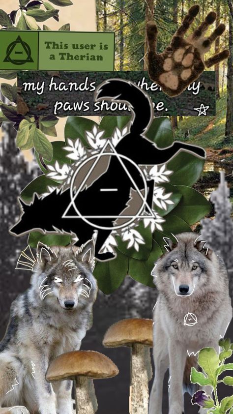 grey wolf therian #therian #nature Therian Wolf, Cat Mask Diy, Wolf Therian, Laptop Wallpaper Desktop Wallpapers, Wolf Wallpaper, Mask Diy, Cat Mask, Grey Wolf, Black Wolf