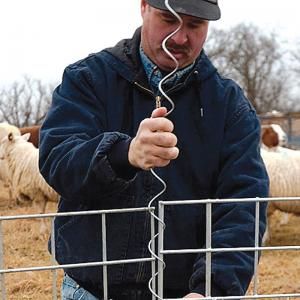 Cattle Panel Fence, Goat Fence, Goat Pen, Farm Hacks, Cattle Panels, Goat Care, Goat Barn, Raising Goats, Future Farms