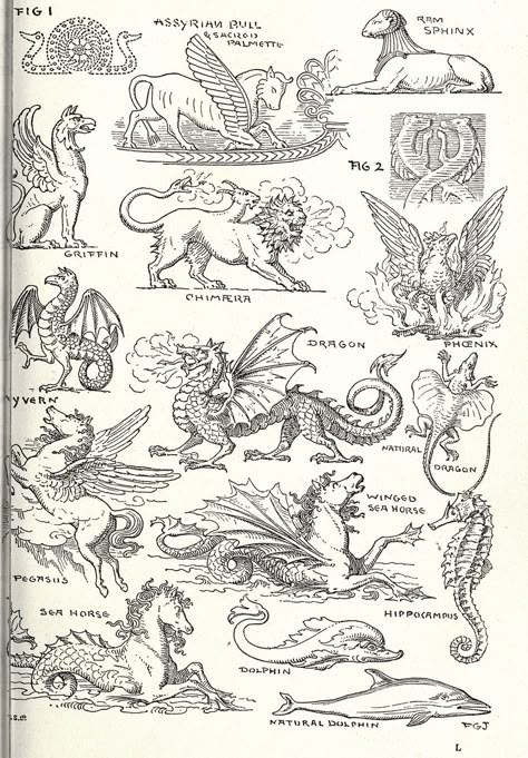 Lion Dragon, Woodcut Tattoo, Medieval Drawings, Medieval Tattoo, Medieval Dragon, Medieval Artwork, Ancient Drawings, Occult Art, Arte Inspo