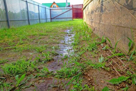 Muddy Backyard Solution, Muddy Backyard, Drainage Ditch, French Drain, Lattice Fence, Concrete Building, Landscape Fabric, Backyard Inspo, Rain Garden