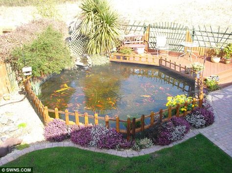 Distraught couple forced to remove 6,000 gallon pond from garden ... Fence Around Koi Pond, Fencing Ideas Around Pond, Fence Around Pond Ideas, Pond Fence Ideas, Fence Around Pond, Pond Fence, Outdoor Fish Ponds, Interesting Locations, Yard Pond