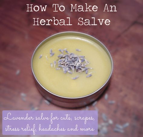 Lavender Salve, Diy Lavender, Diy Herbal Remedies, Salve Recipes, Herbal Salves, Healing Salves, Diy Lotion, Herbal Recipes, Diy Cosmetics