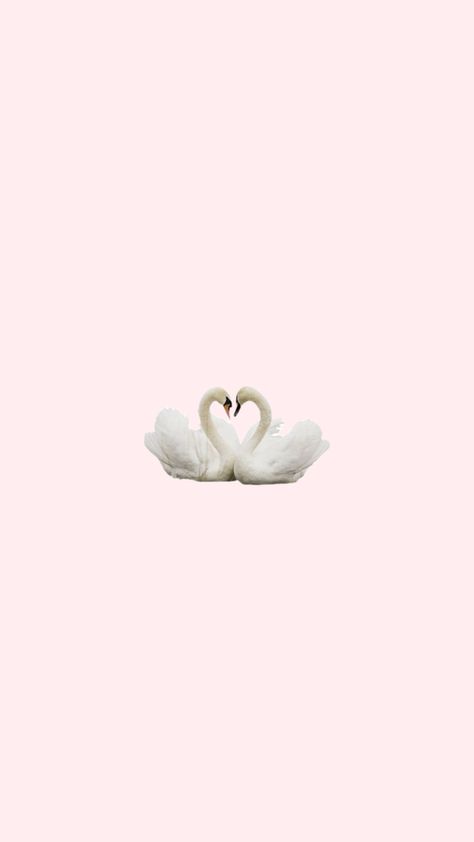 Girlie Wallpaper Iphone, Wallpaper Coquette, Swan Wallpaper, Lake Aesthetic, Pink Swan, Profile Wallpaper, Iphone Wallpaper Themes, Photo Wall Collage, Swan Lake