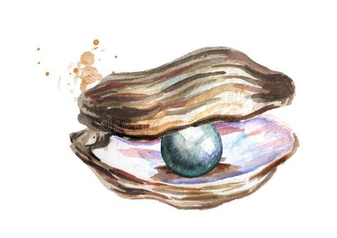 Purple Sea Urchin, Shell Drawing, Ocean Drawing, Pearl Paint, Doodle Art Drawing, Happy Paintings, Bible Art Journaling, Jesus Art, Banner Printing