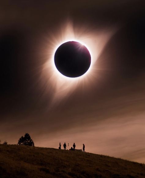 Click To See The Most Amazing Photos of the 2017 Solar Eclipse | Photo Credit: karl_shakur Eclipse Photos, Solar Eclipse 2017, Magical Moon, Eclipse Solar, Foto Art, Natural Phenomena, Solar Eclipse, Science And Nature, Natural Wonders