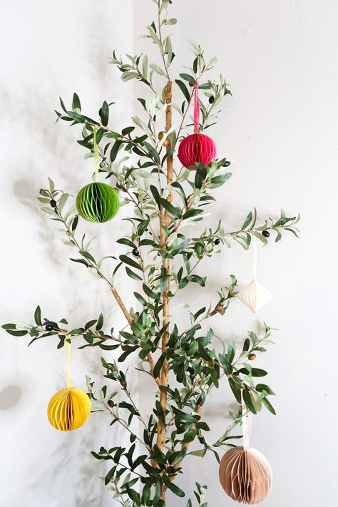 Get into the spirit and add a touch of the holiday to your olive tree! #olivetree Christmas Olive Tree, Olive Tree Christmas, Dream Salon, Live Christmas Trees, Holiday Deco, Dinner Guest, Sleigh Bell, Store Window, Christmas Store