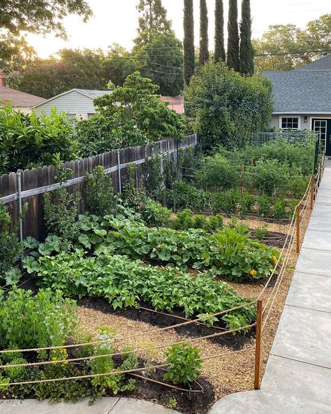 Kyle Hagerty on Instagram: “Our new urban farmstead! . It’s crazy to think that this was all just a bunch of weeds only a few months ago! I’d be lying if I said I…” Joanna Gaines Garden, Urban Farms, Vegetable Garden Planning, Urban Farmer, Potager Garden, Permaculture Gardening, Veg Garden, Ideas Backyard, Home Vegetable Garden