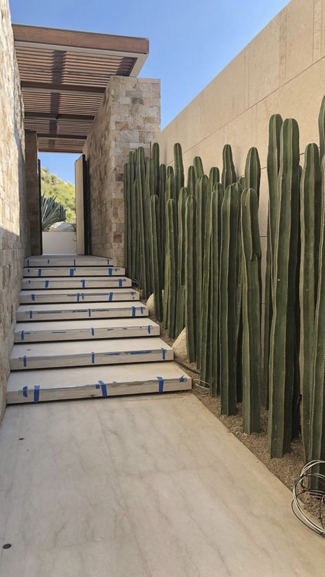 Cactus Ideas, Desert Landscape Design, Aesthetic Summer Vibes, Garden Cactus, Mexico House, Dry Garden, Desert Garden, Casa Exterior, Desert Homes