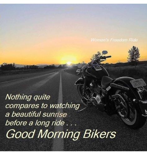 Good Morning Bikers! Ride If You Can!  #goodmorning #Friday #TGIF #bikerlife #harleylife #lifebehindbars #ftw #rideordie Bike Riding Tips, Quotes Motorcycle, Ride Quotes, Harley Davidson Quotes, Morning Ride, Riding Quotes, Bike Sketch, Motorcycle Quotes, Biker Chic