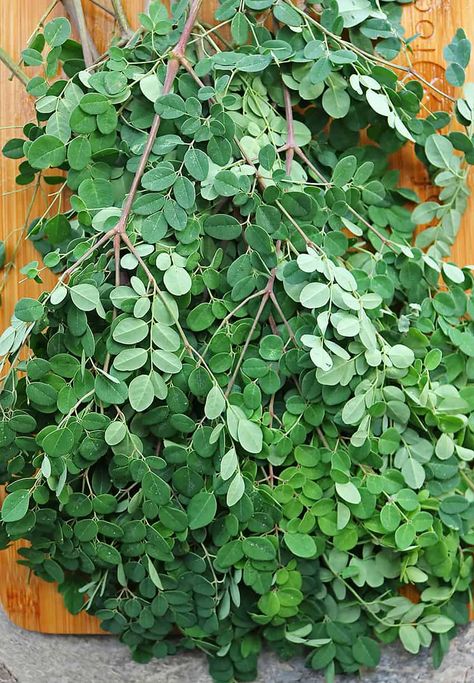 Pascal Wallpaper, Fruits And Vegetables Images, What Is Moringa, Drumstick Leaves, Burning Bay Leaves, Moringa Tree, Moringa Leaves, Pole Beans, Ground Turmeric