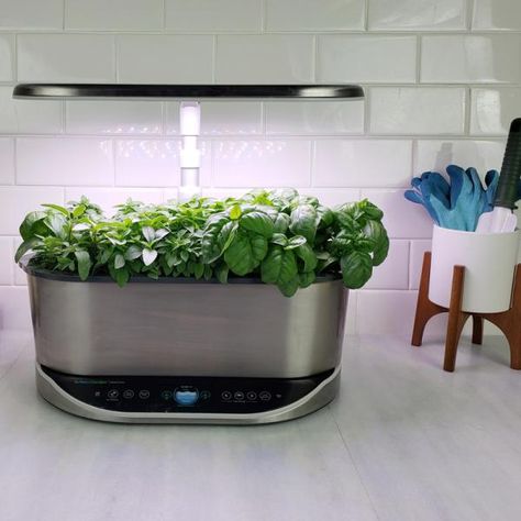 Seed Starting Tips & Info | AeroGarden Blog Aero Garden, Potting Plants, Seed Kit, Gardening Gear, Growing Greens, Dekor Diy, Garden Whimsy, Indoor Herb Garden, Herbs Indoors