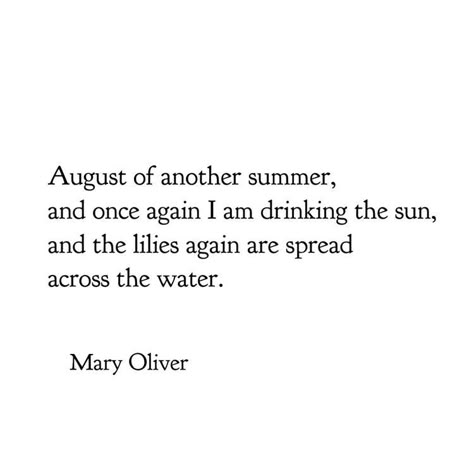 Mary Oliver Aesthetic, Mary Oliver Quotes, Mary Oliver Poems, August Quotes, Monthly Quotes, Mary Oliver, Literature Quotes, Poem Quotes, Some Words