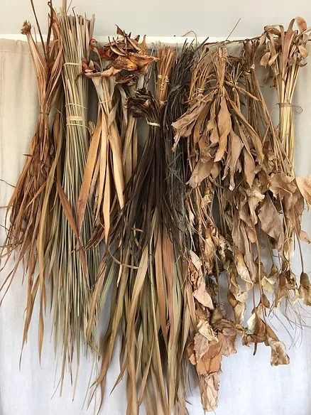 How to Prepare Plant Fibre for Weaving Plant Fiber Weaving, Foraged Fibres, Flax Weaving, Basket Weaving Diy, Weaving Loom Diy, Fiber Sculpture, Natural Baskets, Plant Fibres, Flower Diy Crafts