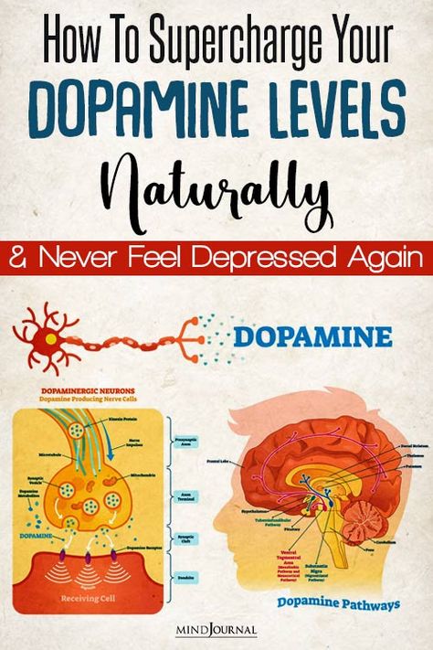 10 Ways To Supercharge Your Dopamine Levels Naturally How To Get Dopamine Levels Up, How To Boost Dopamine Levels, Naturally Increase Dopamine Levels, Ways To Increase Dopamine Levels, How To Raise Dopamine Naturally, How To Raise Dopamine Levels, Boost Dopamine Naturally, Low Dopamine Symptoms, Natural Dopamine Boosters