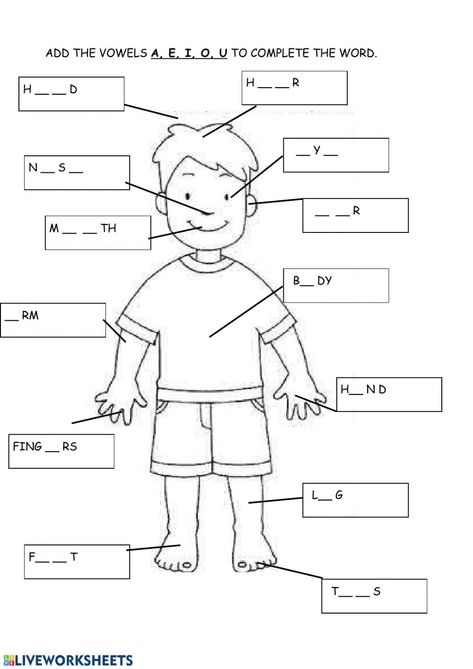 Activity For Grade 1, French Body Parts, Body Parts In Spanish, Body Parts For Kids, Worksheet For Class 2, Human Body Worksheets, Worksheets For Class 1, Human Body Activities, English Activities For Kids