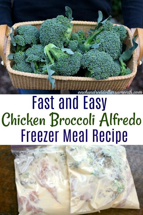 Freezer Meals Chicken, Meals Chicken, Chicken Freezer Meals, Chicken Broccoli Alfredo, Freezer Dinners, Budget Freezer Meals, Freezer Friendly Meals, Freezable Meals, Broccoli Alfredo