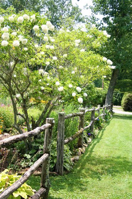 IMG_5056 Stump Decor, The Pixies, Garden Fence Ideas, Country Fences, Rustic Fence, Fence Landscaping, Fence Ideas, Backyard Fences, Wooden Fence