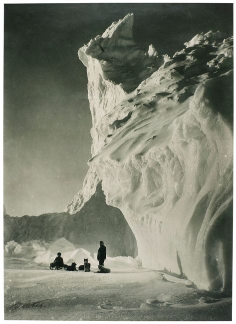 Herbert George Ponting, A DOG TEAM RESTING BY AN ICEBERG, 1912 ||| other ||| sotheby's l19350lot9fhjqen Robert Falcon Scott, Terra Nova, Slim Aarons, Art Society, Dog Sledding, South Pole, Victoria And Albert Museum, White Photography, Black And White Photography