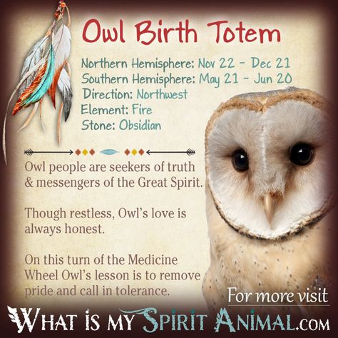 What Is My Spirit Animal, Birth Totem, Animal Totem Spirit Guides, Spirit Animal Meaning, Animal Meanings, Birth Signs, Spirit Animal Totem, Animal Spirit Guide, Totem Animals