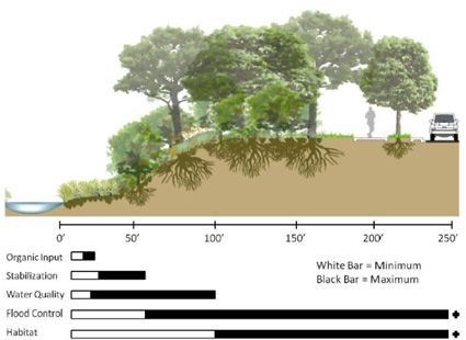 riparian zone - Google Search Riparian Landscape Design, Buffer Zone Architecture, Gym Architecture, Landscape Engineer, Buffer Zone, Conservation Of Natural Resources, Ecology Design, Tropical Garden Design, Conceptual Architecture