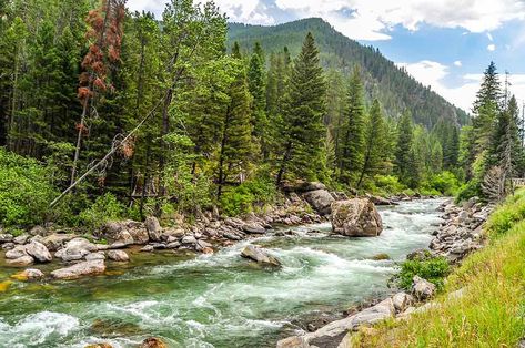 The 17+ BEST Things to Do in Bozeman, Montana Montana Summer, River Flow, Montana Vacation, Travel 2024, Grizzly Bears, Bozeman Mt, Bozeman Montana, Whitewater Rafting, Beautiful Places In The World