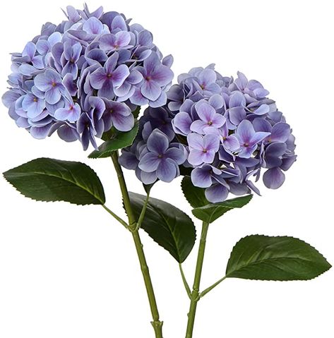 Amazon.com: Faux Hydrangea Large Artificial Purple Hydrangea Flowers 24.8" Real Touch Hydrangea Flowers Lifelike Silk Hydrangea Stems for Wedding Party Garden Home Decor-2PCS: Kitchen & Dining Hydrangea Arrangements Wedding, Lavender Hydrangea, Large Hydrangea, Long Stem Flowers, Fake Hydrangeas, Purple Hydrangea, Hydrangea Arrangements, Hydrangea Colors, Garden Home Decor