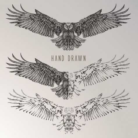 Hand drawn eagle collection Free Vector | Free Vector #Freepik #freevector #hand #nature #animal #hand-drawn Owl Tattoo Chest, Eagle Chest Tattoo, Small Eagle Tattoo, Tatuaje Cover Up, Herren Hand Tattoos, Hawk Tattoo, Ring Finger Tattoos, Cool Chest Tattoos, Pieces Tattoo