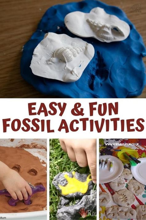 Have fun and learn with these easy fossil activities. From simple salt dough fossils to creating rock hard cast fossils there are activities for all ages to enjoy. Fossil Activities For Kids, Salt Dough Fossils, Fossil Activities, Fossil Activity, Fossils Activities, Make Salt Dough, How To Make Salt Dough, Activities For All Ages, Dinosaur Activities