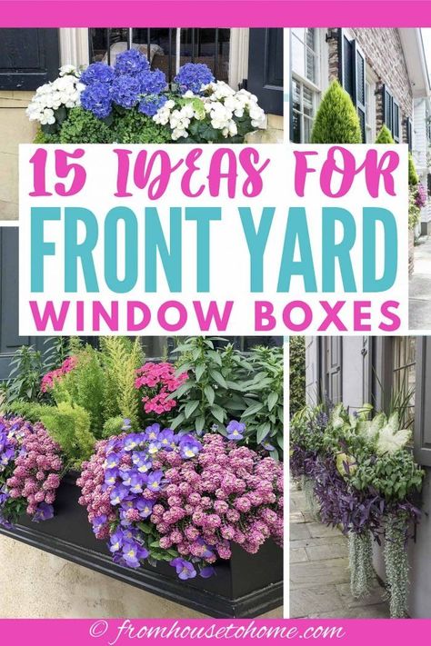 Green Mountain Boxwood, Ideas For Front Yard, Flower Combinations, Impatiens Plant, Window Box Plants, Window Box Garden, Coral Bells Heuchera, House To Home, Window Box Flowers