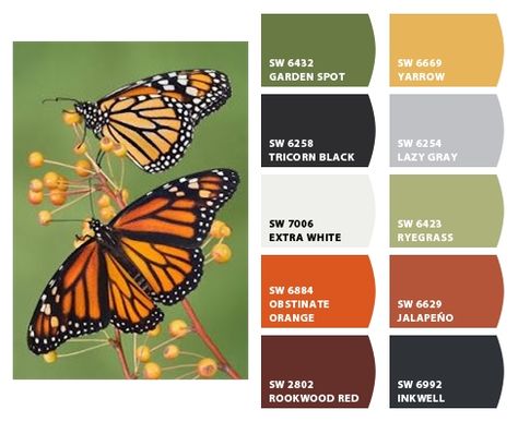 color palette - butterfly tones Luna Moth Color Palette, Butterfly Color Scheme, Lunar Moth Color Palette, Butterfly Colour Palette, Color Palette Butterfly, Butterfly Color Palette, Monarch Butterfly Color Palette, Monarch Color Palette, Butterfly Palette