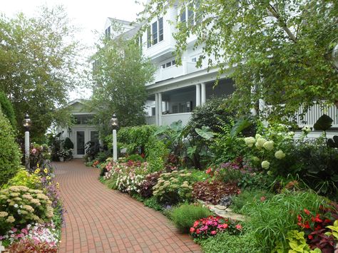 If the history of Mackinac Island doesn't have you in awe, the gardens at The Hotel Iroquois will. This is one of Proven Winners' first Signature Gardens---travel by ferry to this island in Michigan and enjoy the amazing views.  http://emfl.us/FIId Mackinac Island Gardens, Conde Nast Traveler Magazine, Michigan Gardening, Mackinac Island Michigan, Island Hotel, Fig Trees, Witch Garden, Gardens Ideas, Proven Winners