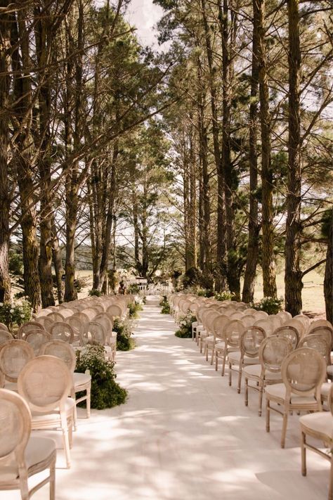 Wedding On A Hill, Enchanted Forest Wedding Ceremony, Weeding Themes, Forest Wedding Inspiration, Enchanted Forest Wedding Theme, Event Aesthetic, Forest Wedding Ceremony, Twilight Wedding, Wedding Favours Luxury