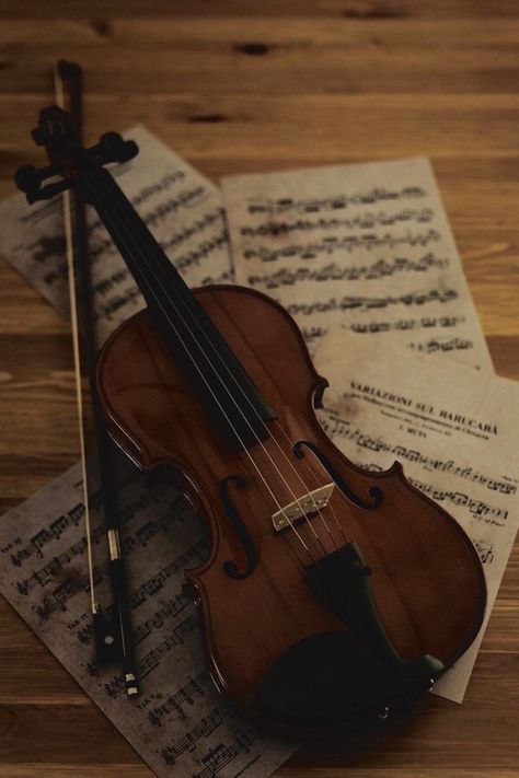 Violin Aesthetic, Dark Acadamia, Music Motivation, Violin Music, Vintage Icons, Teen Fiction, The Infernal Devices, Dark Academia Aesthetic, Music Aesthetic