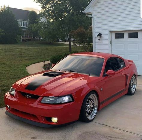 1999 Mustang Gt, 99 04 Mustang Gt, New Edge Mustang Gt, Mach1 Mustang, 2002 Mustang, 1999 Mustang, 2000 Mustang, 2000 Ford Mustang Gt, 2003 Ford Mustang Gt