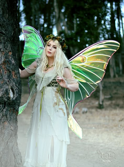 Iridescent Fairy Wings, Iridescent Fairy, On The Wings Of Love, Fire Fairy, Fairy Cosplay, Moth Wings, Vs Fashion Shows, Fairy Queen, Luna Moth