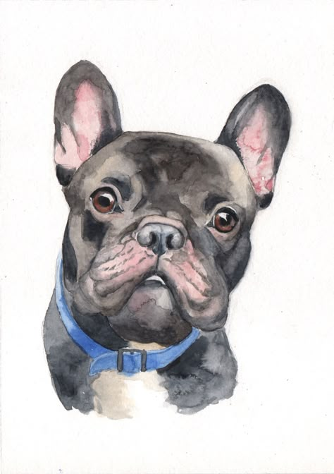 French Bulldog Portrait, Frenchie Watercolor, Bulldog Watercolor Painting, French Bulldog Cartoon, Watercolour French Bulldog, French Bulldog Watercolor, Bichon Frise Art, Grey French Bulldog, French Bulldog Digital Art