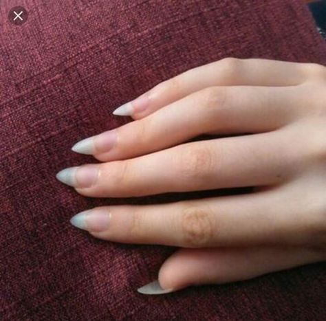 Claw Nails Natural, Long Sharp Natural Nails, All Natural Nails, One Hand Long Nails One Hand Short, Sharp Nails Natural, Natural Pointy Nails, Long Real Nails, Pretty Nails Natural, Short Claw Nails