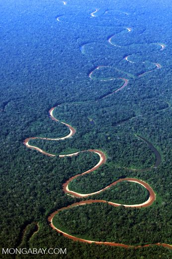 Airplane view of a twisting river in the rainforest of the Amazon basin in Peru - photo by Rhett A. Butler, via travel.moongabay Amazon Forest, Amazon River, America Latina, Amazon Rainforest, Tropical Rainforest, South America Travel, Alam Yang Indah, Birds Eye View, The Amazon