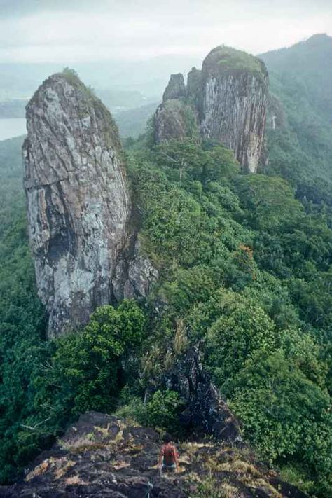 Micronesia Map, Pohnpei Micronesia, Wilpattu National Park, Pulau Pangkor, Wide World, Beautiful Pictures, Natural Landmarks, Travel