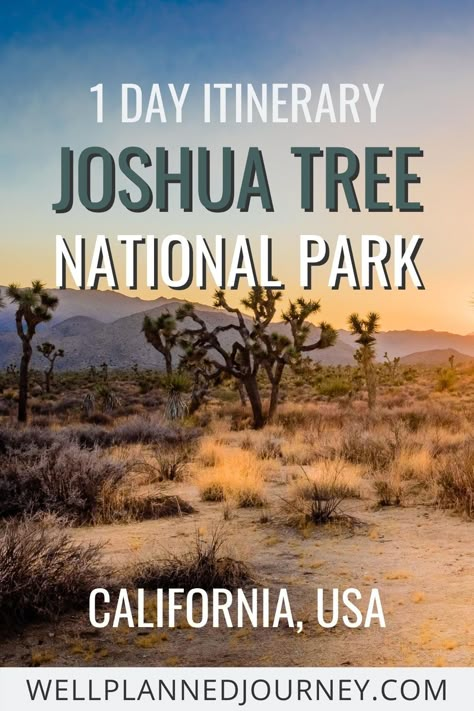 Joshua Tree Hikes, National Park Itinerary, National Park Vacation, National Park Road Trip, One Day Trip, California Travel Road Trips, National Parks Usa, California National Parks, National Parks Trip