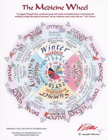 Native American Medicine Wheel, Native American Spirituality, Tarot Significado, Native American Wisdom, Native American Symbols, Native American Quotes, Woo Woo, Medicine Wheel, Native American History