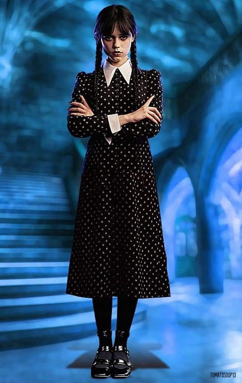 Wednesday Addams Full Body Picture, Wendsday Adams Costumes, Adams Family Costume, Wednesday Addams Outfit, Wednesday Addams Cosplay, Wednesday Costume, Wednesday Addams Dress, Wednesday Addams Costume, Addams Dress