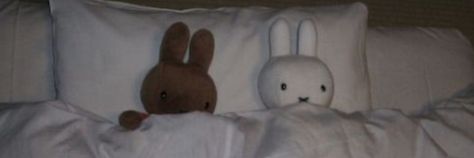 Miffy Twitter Header, Miffy Header, Miffy Banner, Bunny Header, Banners Matching, Aesthetic Discord Banner, Aesthetic Header Twitter, Discord Header, Miffy Aesthetic