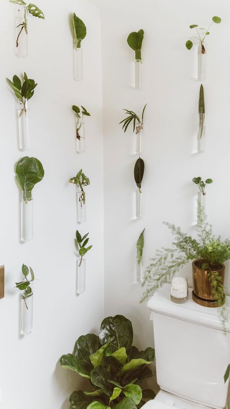 2,944 Likes, 276 Comments - christine higgs (@_forthehome) on Instagram: “Hey Guys! Today I’m sharing how to create a propagation wall like mine! The video goes over install…” Propagation Wall, Water Plants Indoor, Indoor Plant Wall, نباتات منزلية, Water Wall, Hanging Plant Wall, Plant Ideas, Plant Decor Indoor, Water Walls