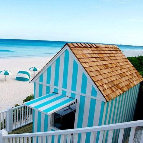 Beach Hut as Inspiration for Garden Shed Beach Garden Ideas, Coastal Garden Ideas, Beach Hut Shed, Backyard Shed Ideas, Coastal Backyard, Beach Rooms, Mini Cottage, Garden Shed Ideas, Build Your Own Shed