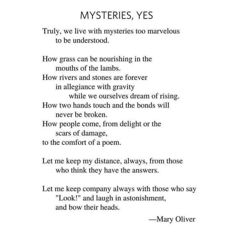 Mary Oliver Poems, Jack Kornfield, Poet Quotes, Poems About Life, Mary Oliver, Literature Quotes, Memories Quotes, Writing Poetry, Poetry Quotes