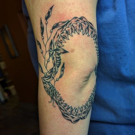 Shark Jaws Tattoo Knee, Shark Jaw Tattoo Knee, Jaw Tattoo Knee, Shark Jaw Tattoo, Shark Jaws Tattoo, Jaw Tattoo, Tattoo Knee, Shark Jaw, Cool Sharks